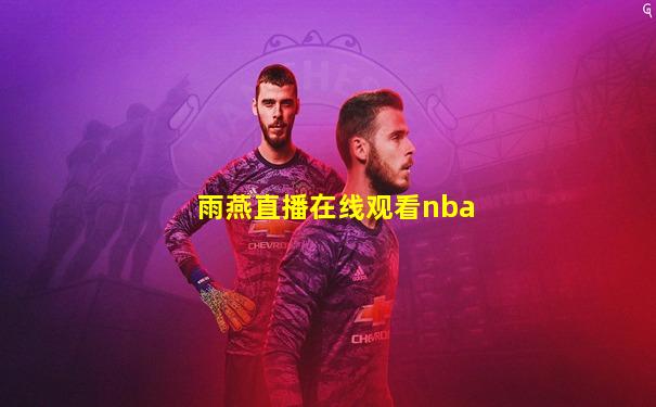 雨燕直播在线观看nba