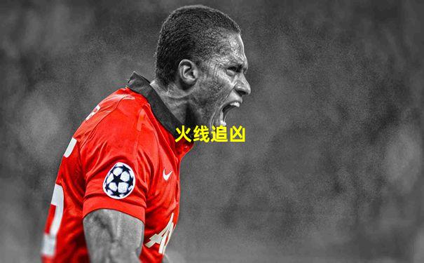 火线追凶