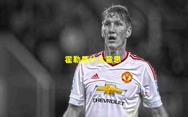 霍勒是什么意思