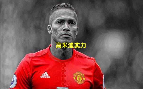 高米迪实力